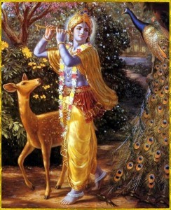 Raffigurazione simbolica delle qualità spirituali di Krishna